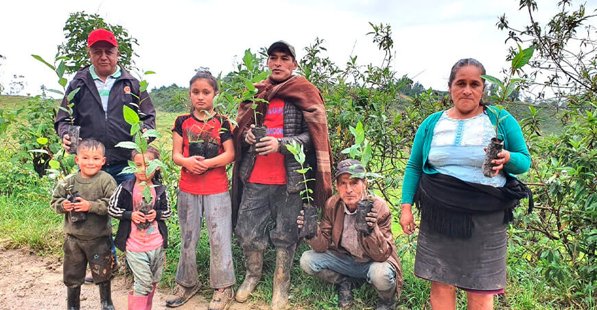 Vivero móvil municipal impulsa la siembra de aliso y fortalece el agro en Chota Cajamarca Perú