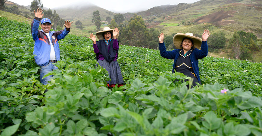 productores papa La Libertad Perú