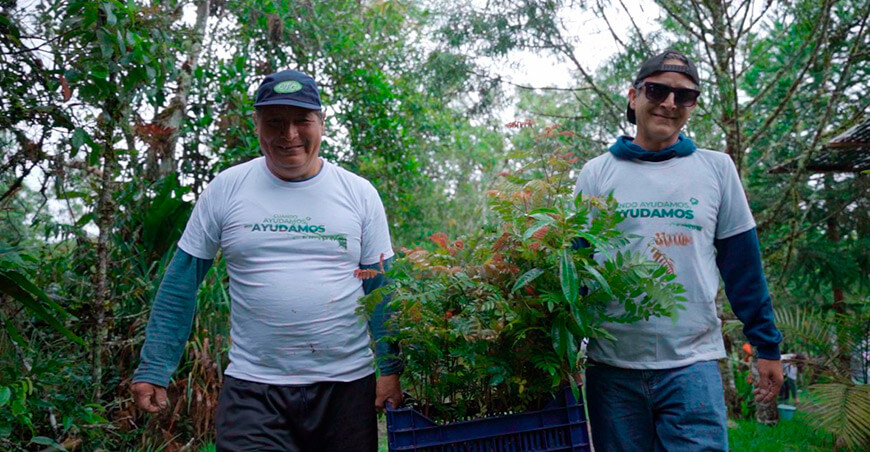Promueven reforestación con árboles nativos para recuperar ecosistemas en Oxapampa Pasco Perú
