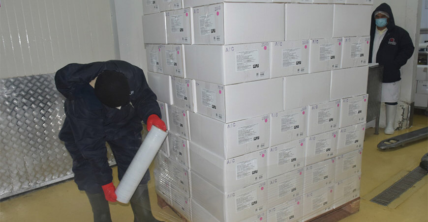 Sanipes Perú capacitó a 100 agentes en Piura sobre certificación sanitaria para exportar productos hidrobiológicos a Europa