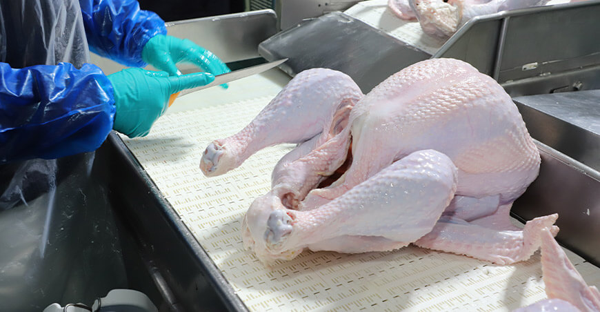 Perú suspende importación de productos aviares procedentes de Argentina