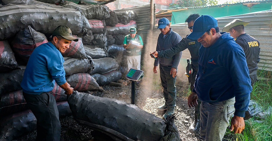 Serfor incautó más de 19 toneladas de carbón vegetal en Carhuaz Áncash