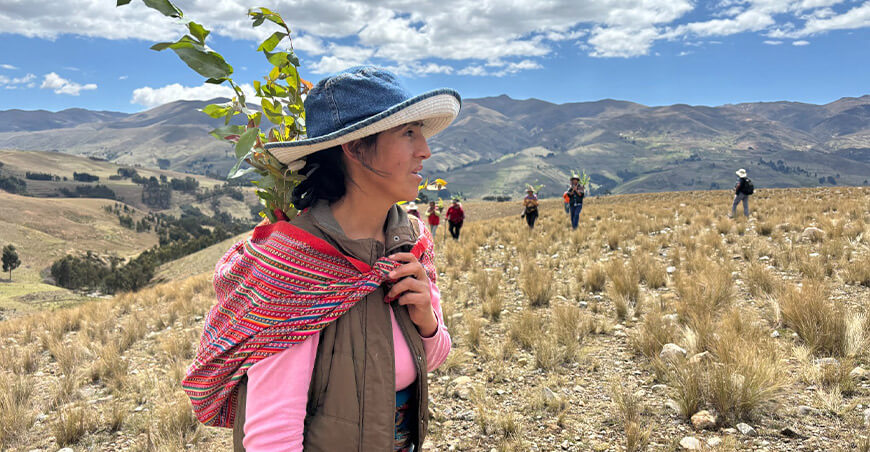 Programa de Incentivos Forestales plantaciones forestales Serfor Perú