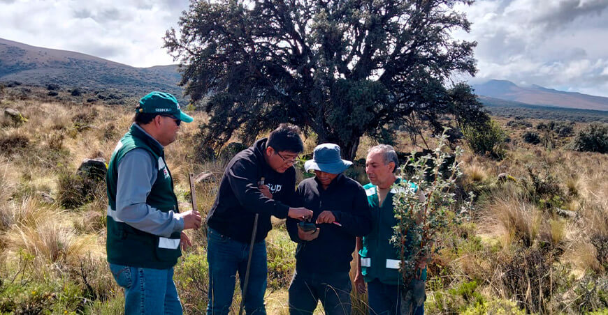 Impulsan reforestación de queñua con inteligencia artificial como herramienta técnica Arequipa Serfor Tecsup