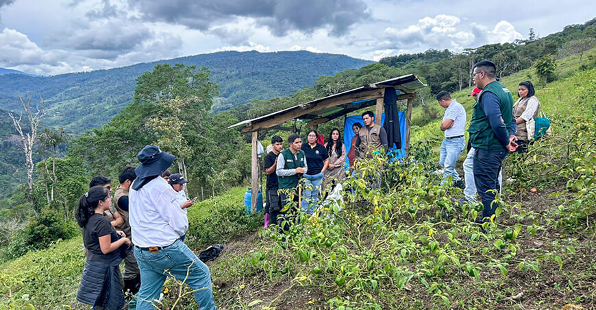 UNTRM impulsa el mejoramiento genético del rocoto junto a productores Amazonas Perú 