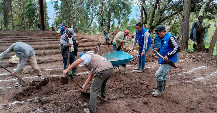Implementarán vivero en Sondorillo para producir más de 15 000 plantones forestales y frutales Piura Perú