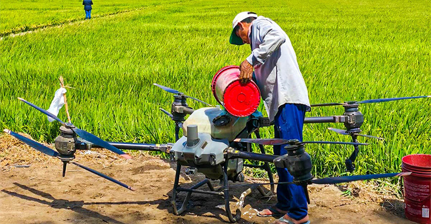 uso dron agrícola en el cultivo de arroz Arequipa Perú