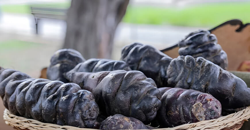 Aliada de la nutrición y la salud: La mashua negra destaca no solo por sus propiedades medicinales respaldadas por la ciencia, sino también por su alto valor nutricional, que la convierte en un alimento funcional de gran potencial.