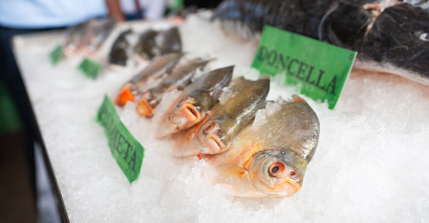 Familias acuicultoras participarán en la Gran Feria del Pescado Amazónico Ucayali Perú Devida pescado amazónico