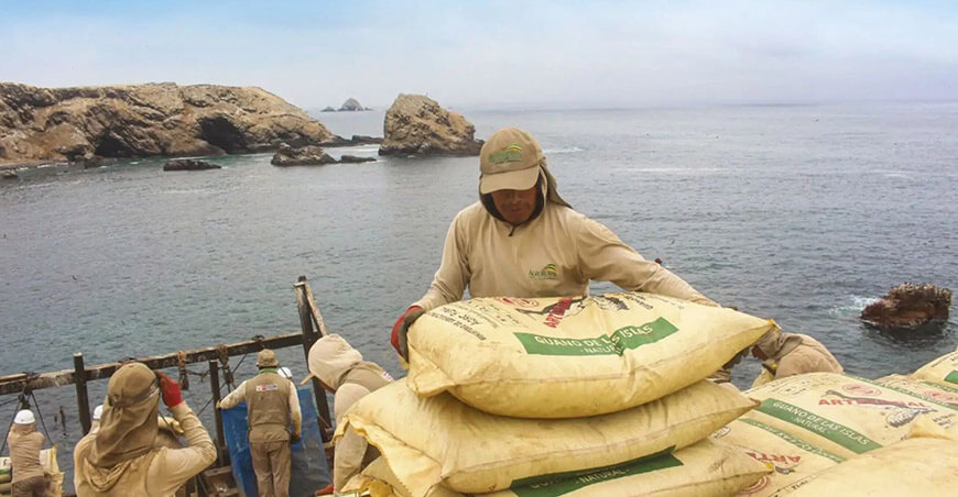Agro Rural impulsará la agricultura familiar con 14 765 toneladas de guano de las islas a precio social Perú