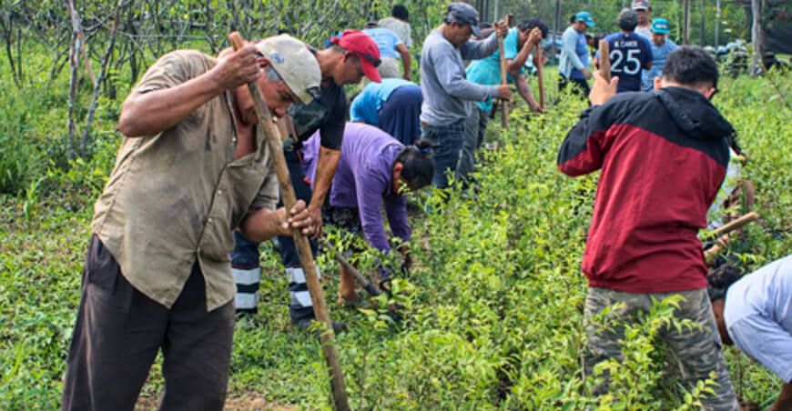 Familias participan en estudio sobre agroforestería y mejora productiva Huánuco Perú IIAP