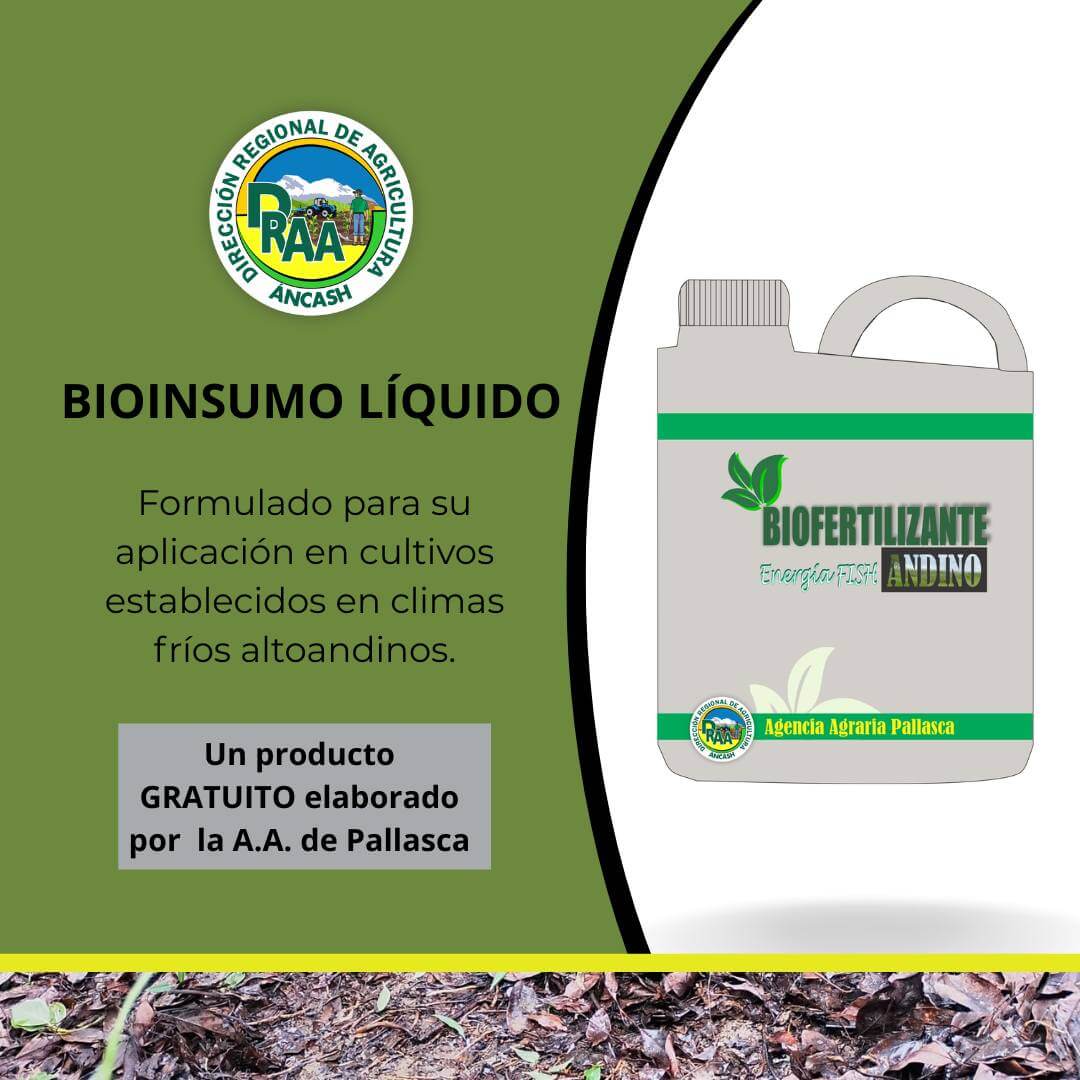 Biofertilizante fortalece la agricultura sostenible en cultivos altoandinos de Pallasca Áncash Perú