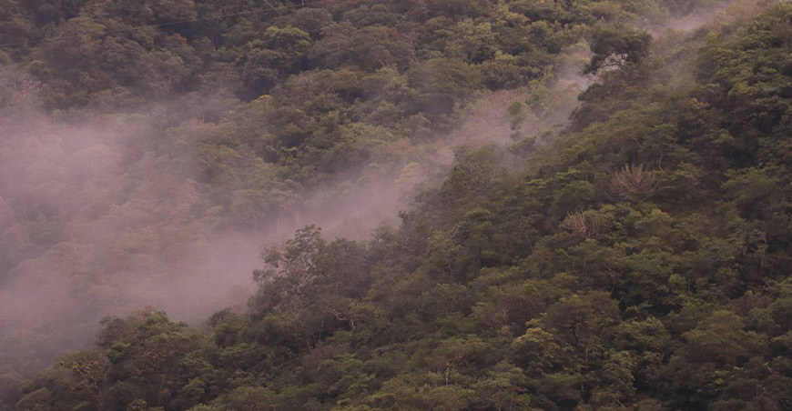 Crean Área de Conservación Regional Huamantanga y Chorro Blanco Cajamarca Perú