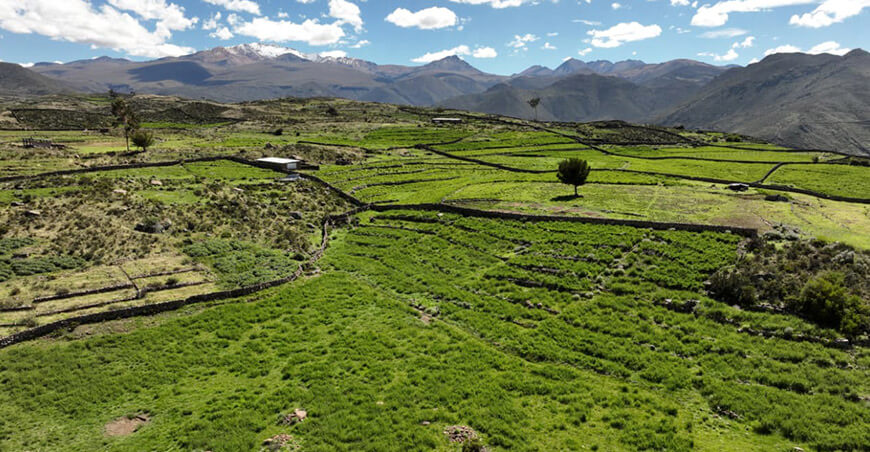 áreas de cultivos Santa Cruz Candarave Tacna Perú 