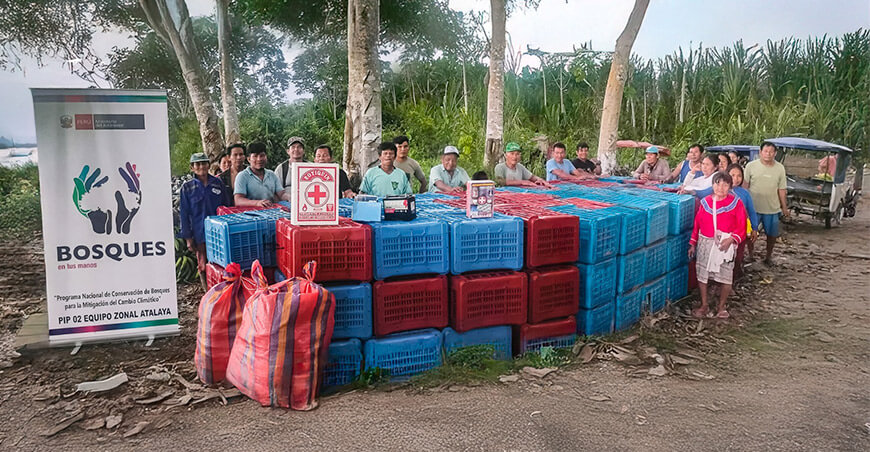 Comunidad nativa Shahuaya fortalece negocio de plátano sin deforestación Ucayali Perú Minam Programa Bosques