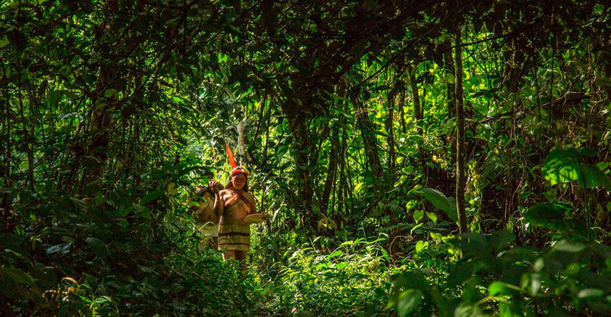 comunidades nativas conservación bosques Perú