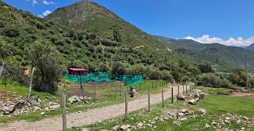 Construirán vivero forestal para producir especies nativas y recuperar ecosistemas en Aymaraes Apurímac Perú