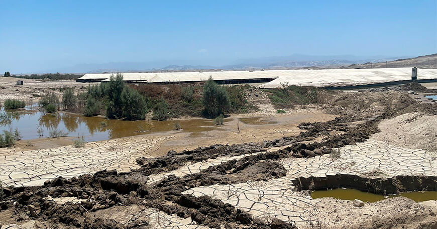 INIA implementará parcelas demostrativas para recuperar la producción agrícola en zonas afectadas por desbordes de ríos Ica Perú