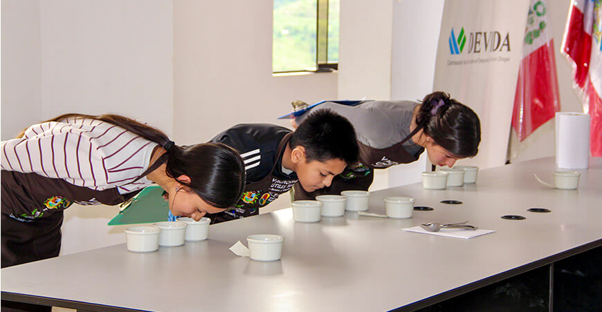 Devida forma a jóvenes baristas y catadores y fortalece a familias cafetaleras de Amazonas