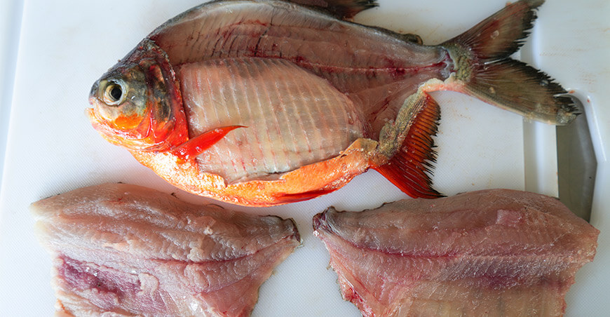 Devida garantiza pescado de calidad para su expendio en Semana Santa en el Alto Huallaga Huánuco Perú 