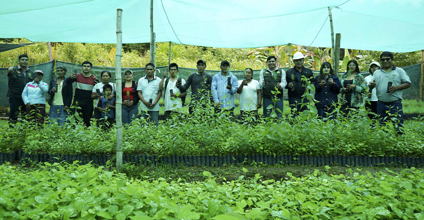Impulsan sostenibilidad ambiental mediante reforestación en Chanchamayo Junín Perú