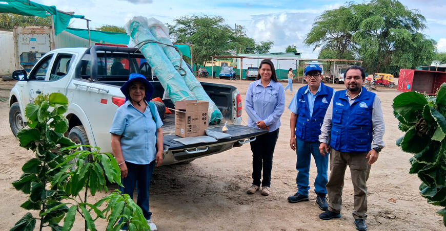 Entregan semillas de algarrobo para fortalecer la reforestación en Cura Mori Piura Perú