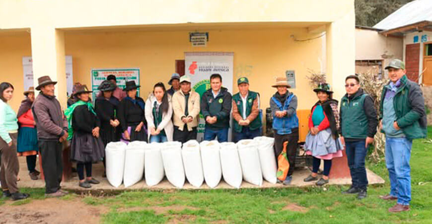 Entrega semilla avena forrajera ganaderos Yauli Huancavelica Perú