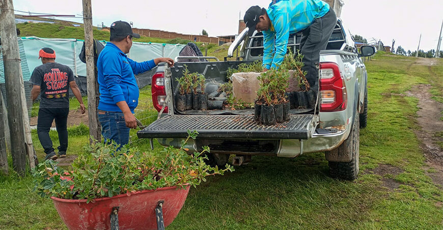 Impulsan reforestación para la recuperación de 119 microcuencas Ayacucho Perú