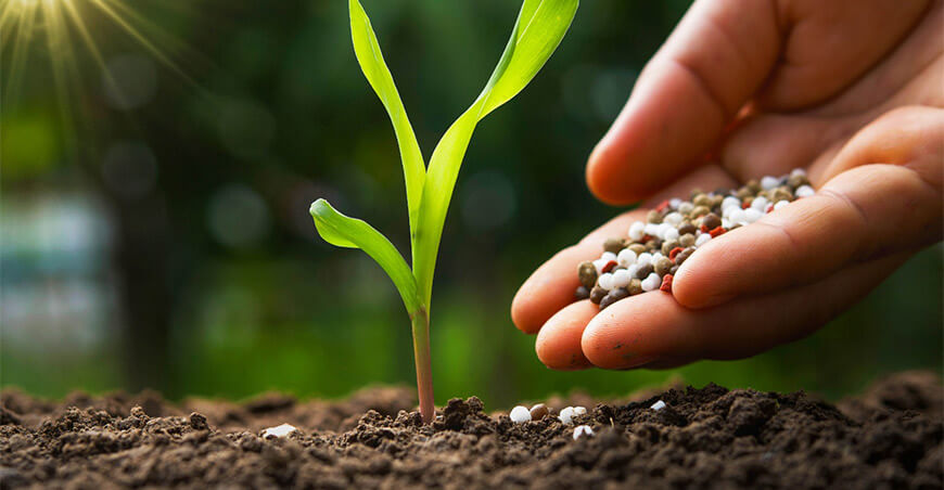fertilizantes Perú