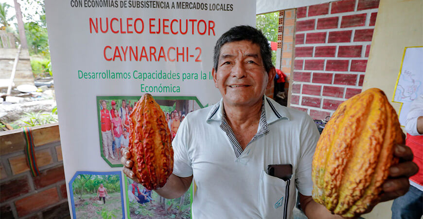 Foncodes supervisa avance de proyectos de productores de cacao en San Martín y Loreto