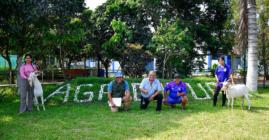 Reactivación de fondo rotatorio de caprinos beneficia a productores de Laredo La Libertad Perú