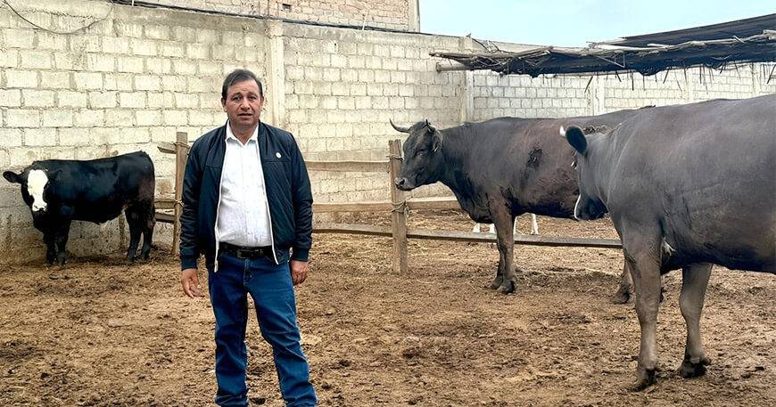 Ganadero Víctor Emilio Cubas Rodas, dedicado a la crianza de vacunos criollos en La Libertad
