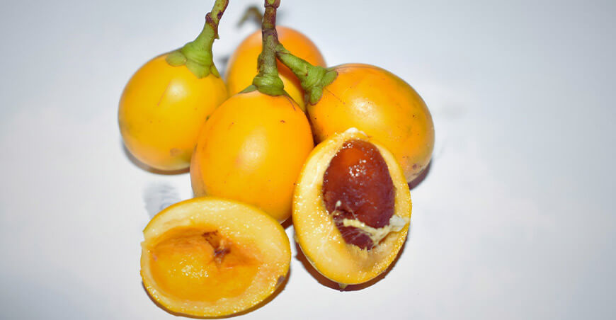 Estudio en Ucayali busca recuperar conocimientos tradicionales alimentarios en pueblos indígenas IIAP Perú 