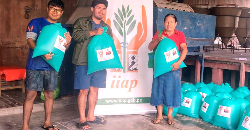 Piscicultores recibieron 20 000 alevinos para fortalecer la acuicultura Ucayali IIAP Perú 