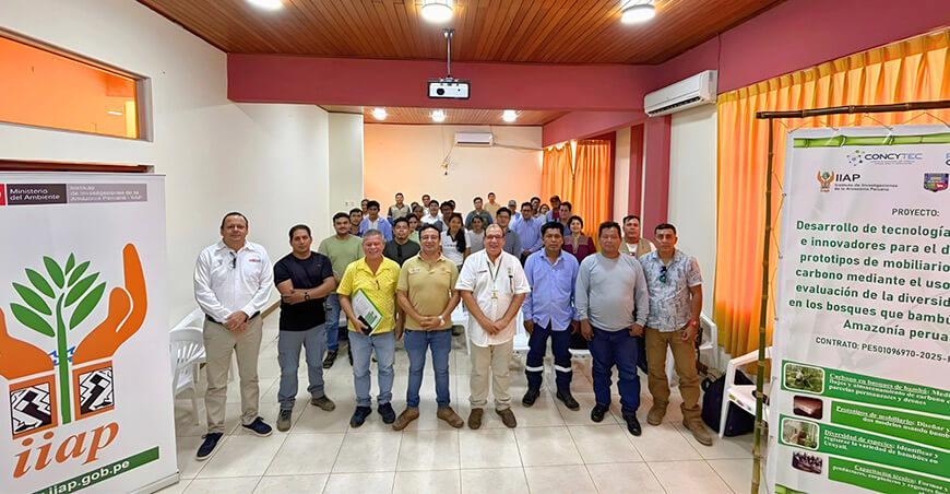 IIAP estudiará el potencial económico y ambiental del bambú en Ucayali Perú