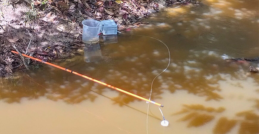 IIAP identificó 44 especies de peces en Loreto mediante ADN ambiental
