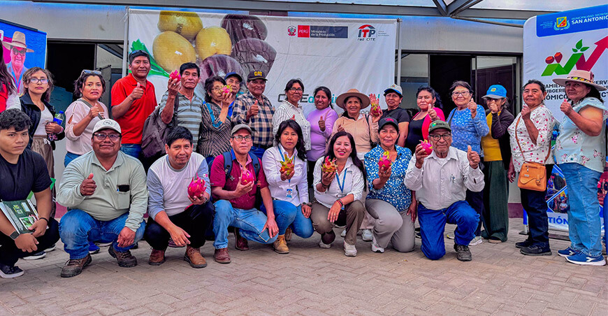 Impulsan la industrialización de la pitahaya en San Antonio Moquegua Perú 