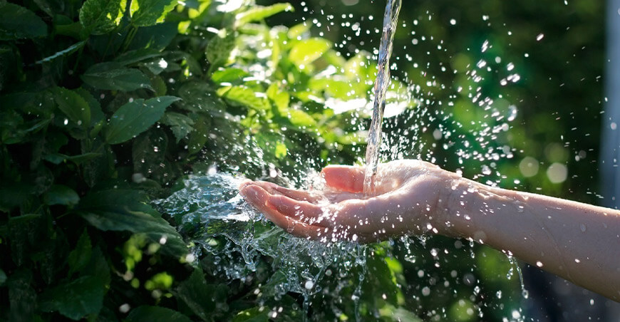 Las claves de la industria de alimentos y bebidas para reducir su consumo de agua
