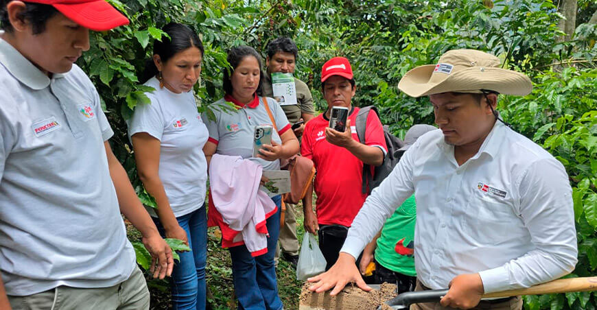 INIA transfiere tecnologías agrarias para mejorar la fertilidad de los suelos en La Merced Junín Perú 