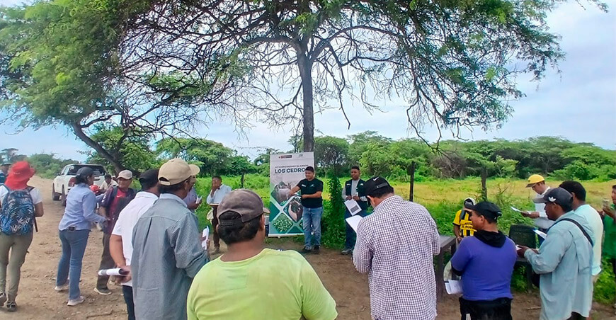 INIA transfiere tecnologías para evitar la degradación de suelos agrarios por lluvias Tumbes Perú