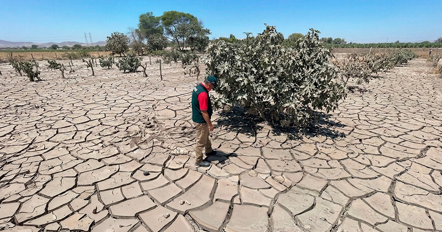 INIA implementará parcelas demostrativas para recuperar la producción agrícola en zonas afectadas por desbordes de ríos Ica Perú