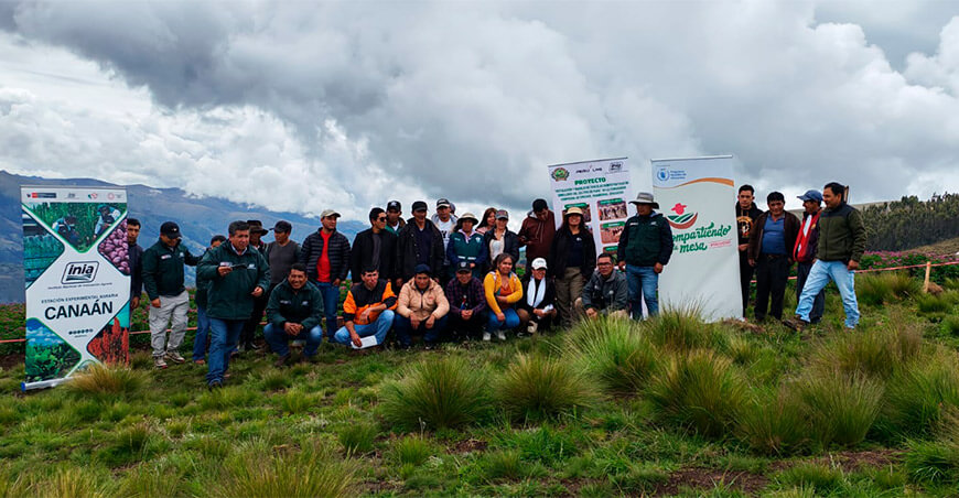 INIA implementa parcelas demostrativas para producir semillas de papa de alta calidad en Vinchos Ayacucho Perú 