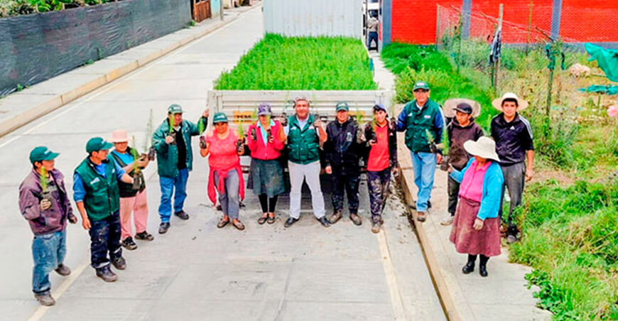 Instalaron 20 000 plantones forestales para recuperar terrenos degradados de la agricultura familiar en el distrito de Sanagorán, provincia de Sánchez Carrión, región La Libertad Perú Agro Rural