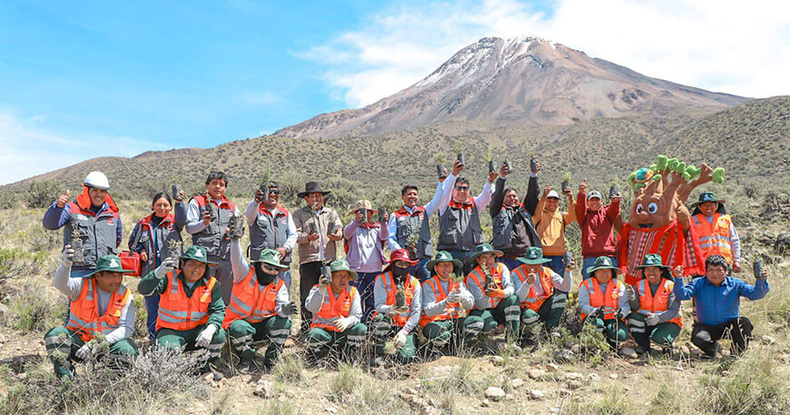 Reforestan con más de 10 000 plantones de queñua en zona altoandina Tacna Perú 