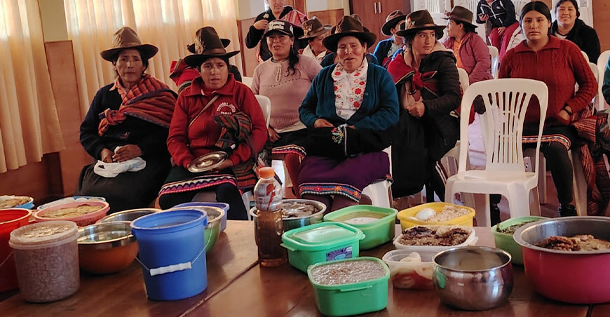 Promueven la nutrición infantil con sangre de oveja, cuy y gallina en niños menores de 3 años Áncash Perú