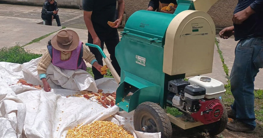 Impulsan la competitividad del maíz amiláceo en Cachora con maquinaria desgranadora Apurímac Perú