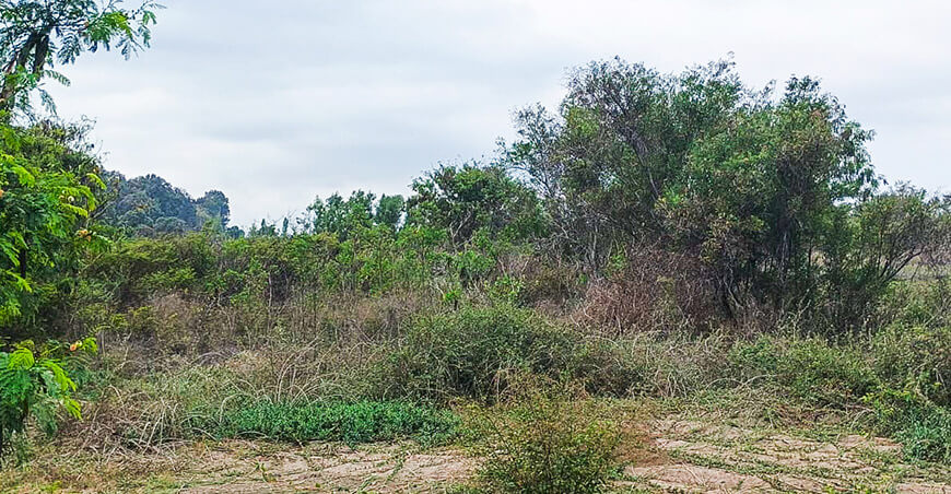 Midagri cede terreno del INIA para construir hospital de alta complejidad en Lambayeque