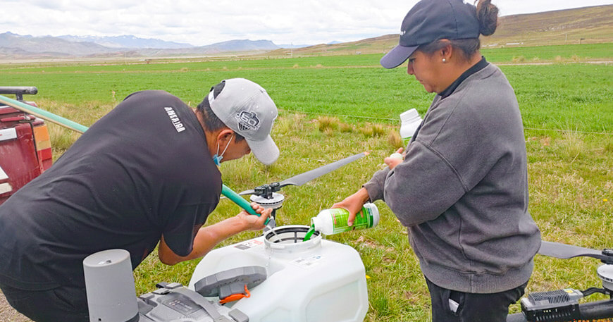 Realizan fumigación de pastos con dron agrícola en Ayaviri Puno PEBLT 