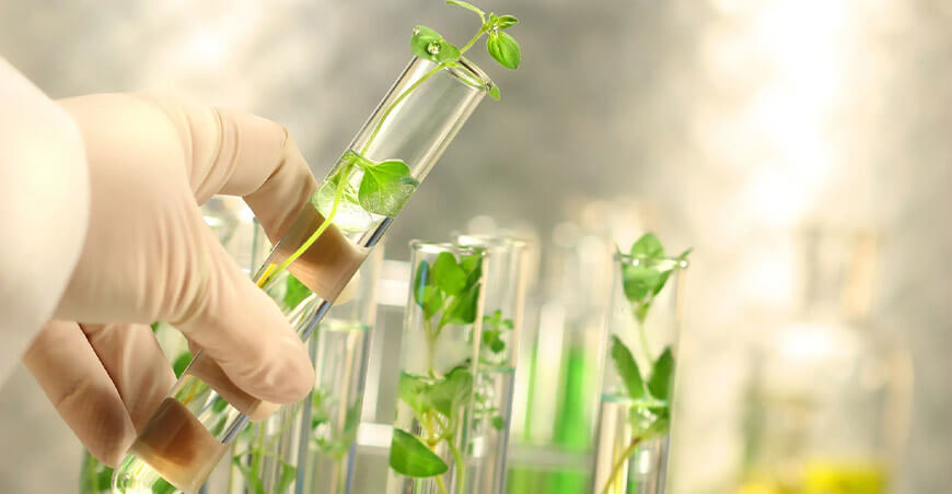 Lineamientos para determinar la condición de organismos vivos modificados OVM aplicables a productos u organismos desarrollados a partir de nuevas herramientas biotecnológicas edición genética Perú