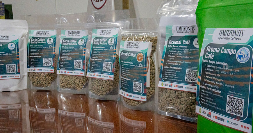 Productores de Amazonas enviaron muestras de café a Australia para abrir nuevos mercados